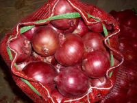 Fresh Red/white and brown onion
