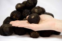 fresh black truffle mixed size