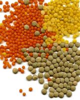 Green Lentils/Red lentinls and Yellow lentils