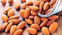 Raw Almonds Nuts, delicious and healthy Raw Almonds Nuts Almond/Apricot Kernel