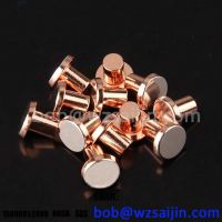 Electrical silver bimetallic contact points rivets