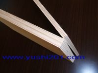 Sell birch plywood-1