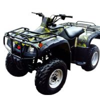 Sell   ATV NEW MODEL   250CC 250A