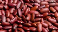 kidney beans