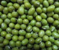 mung beans