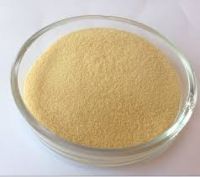 SOY PEPTIDE POWDER