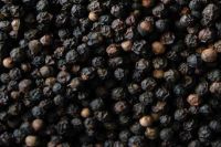 black Pepper for sale