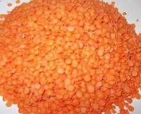 Red Split Lentils