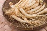 ginseng extract