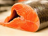 Fresh Salmon Fish