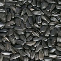 Sunflower seeds (Oil)