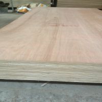 Cheap price high quality plywood from Vietnam