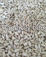 sunflower seeds / kernels confectionery&bakery