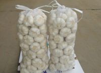 New crop fresh natural pure white garlic