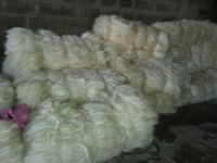 Sisal fibers from Kenya