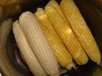 YELLOW MAIZE FOR ANIMAL FEED / YELLOW CORN FOR ANIMAL FEED
