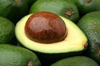 Fresh Fuerte/Hass Avocados