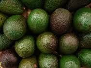 High quality fresh Kenyan Fuerte and Hass Avocado