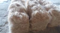 Sisal Fiber UG / SSUG Grade A From Kenya