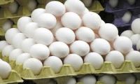 White & Brown Fresh Table Chicken Eggs