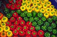 FRESH CAPSICUM / BELL PEPPER /YELLOW CAPSICUM