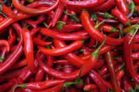 Chilli Pepper Fresh Green/Red Chilli