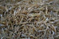 Dried Chirimen Fish / Anchovies