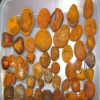 100% whole Ox/Cow Gallstones for sale