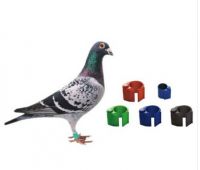 Competative price RFID Pigeon Ring Tag