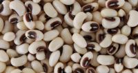 Premium quality black eye beans at competitive price