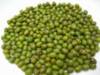 Sparkling green mung beans for export at best price