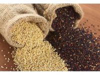 High quality organic quinoa at competitive price