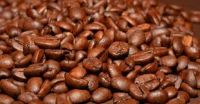 Premium grade arabica and robusta coffee beans for sale.