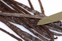 Vanilla beans and powder for immediate export