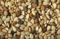 High quality sesame seeds, sunflower Seeds, tomato Seeds, other seeds for export.