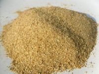 Premiere quality Distilled dried grains for animal feed production