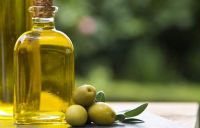Refined Olive Oil for sale