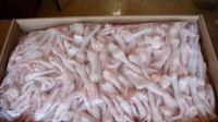 Frozen Chicken Paws for export