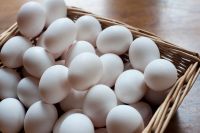 Quality White Table Eggs Exporters