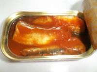 wholesale canned sardine in tomato sauce oil