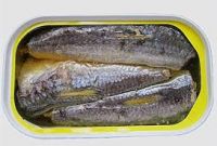 Canned Sardines in Vegetable Oil 125g