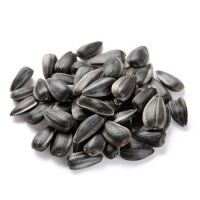 Sunflower Seeds/Sunflower Seeds Kernel Avialable, Sunflower Seeds Exporters, Sunflower Seeds suppliers, Processed Sunflower Seeds