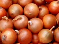 High Quality Onions