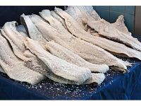 Dried Salted Cod Fish