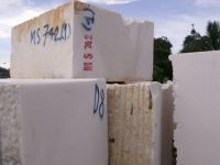 Sell Vietnam white marble block