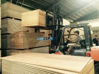 Various thickness commercial plywood