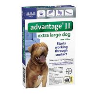 Advantage II Extra Large Dog 6-Pack