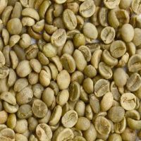 Vietnamese Coffee Bean, Roasted Coffee Beans , Green Coffee Beans