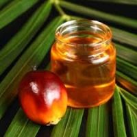 High Quality  Refined palm oil