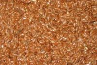 Wholesale Organic Golden Bulk Grade A Brown Flax Seeds